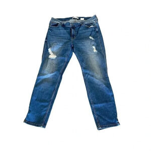 Eunina Kasia Women's Blue Low Rise Skinny Leg Cropped Denim Jean Size 2XL